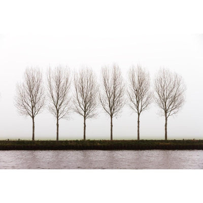 LINE OF TREES By Canvas Candy CV-2178 - Devos Furniture Inc.