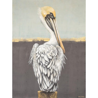 PELICAN By Canvas Candy CV-536 - Devos Furniture Inc.