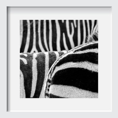 LOST OF STRIPES By Canvas Candy CV-355 - Devos Furniture Inc.