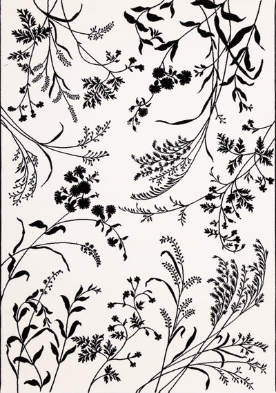 Ice White Black Foliage Rug by Kalora Interiors - Devos Furniture Inc.